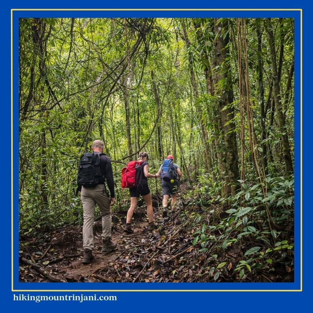 3 Best Options for a Mount Rinjani Day Trip