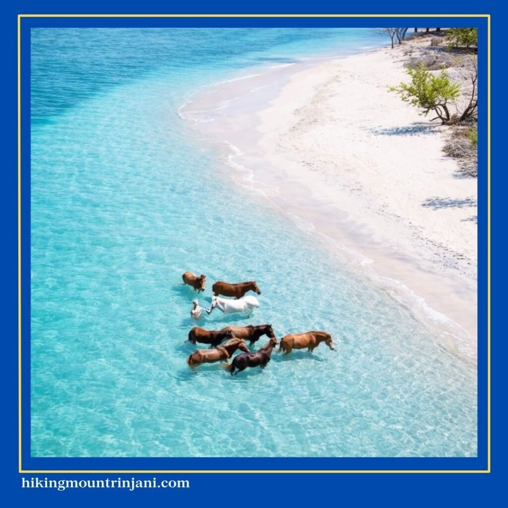 Best Places to Visit in Lombok - Gili Asahan