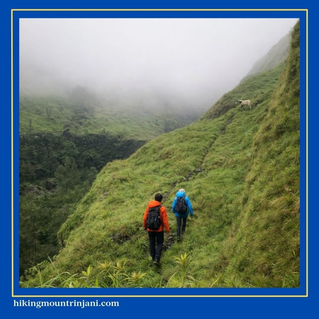 Cara Bertahan Hidup Saat Tersesat Di Gunung