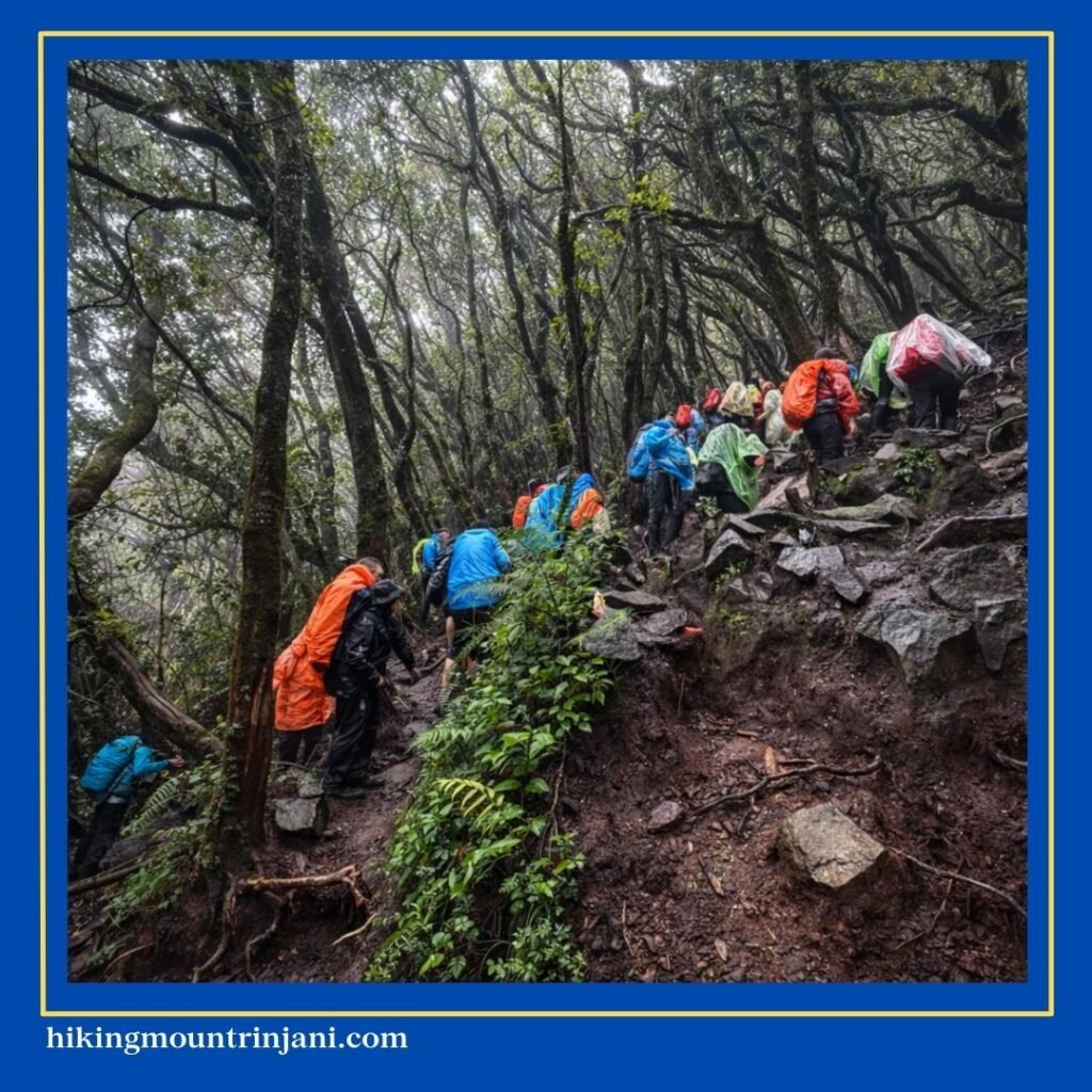 Gunung Yang Bagus Untuk Tektok Seharian