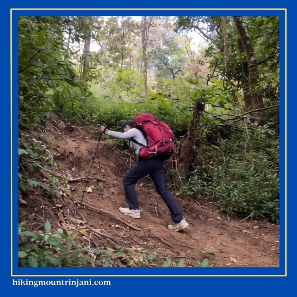 Kenapa Naik Gunung Sesak Napas