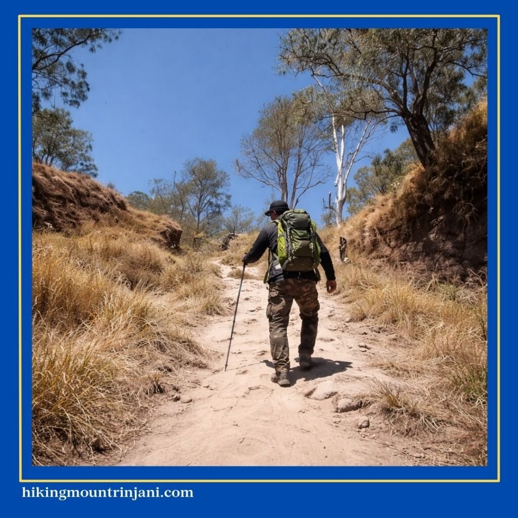 Tips Agar Tidak Sesak Napas Saat Naik Gunung